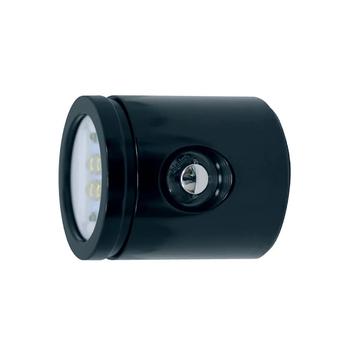 Light head for VL4600 light