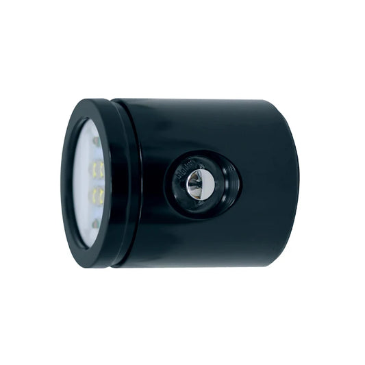 Light head for VL4600 light