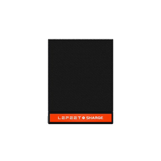 P1 / P1 XR / P1 Lite 100W USB-C Charger (with Adaptor）